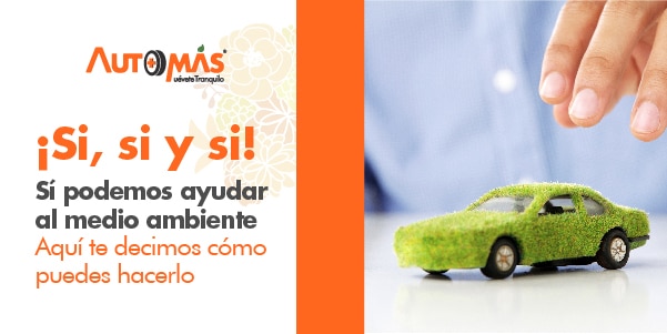medio ambiente